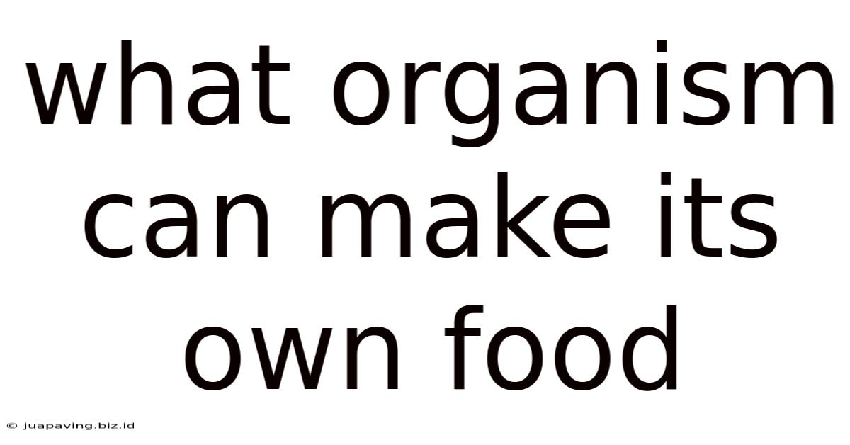 What Organism Can Make Its Own Food