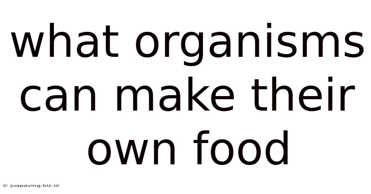 What Organisms Can Make Their Own Food