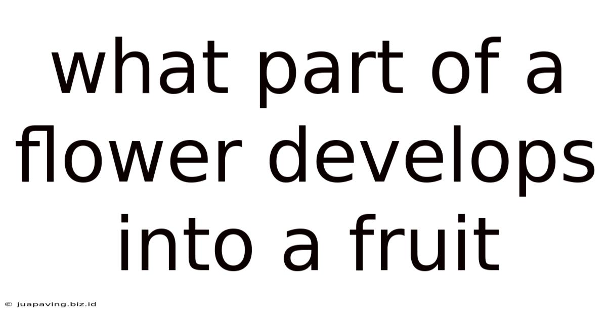 What Part Of A Flower Develops Into A Fruit