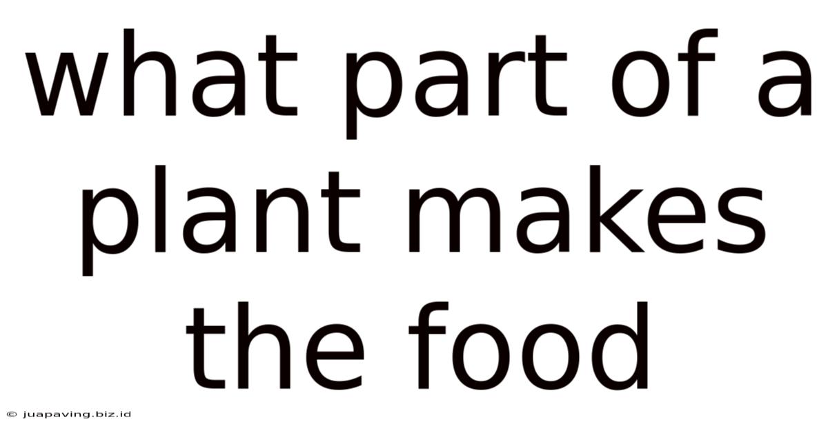 What Part Of A Plant Makes The Food