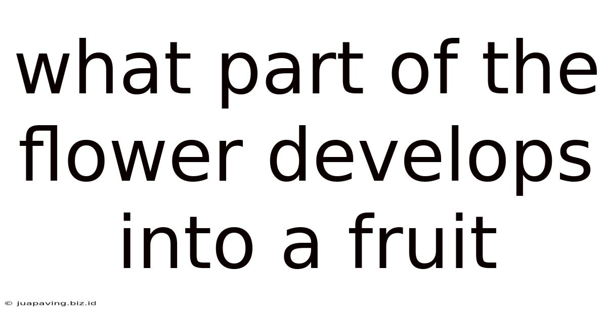What Part Of The Flower Develops Into A Fruit