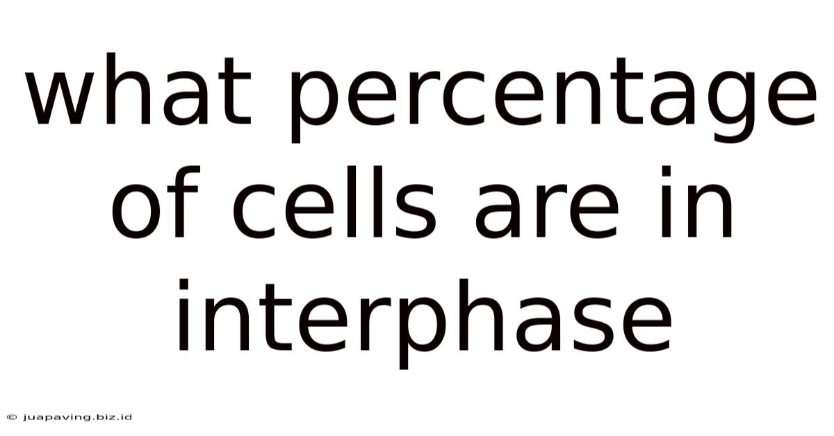 What Percentage Of Cells Are In Interphase
