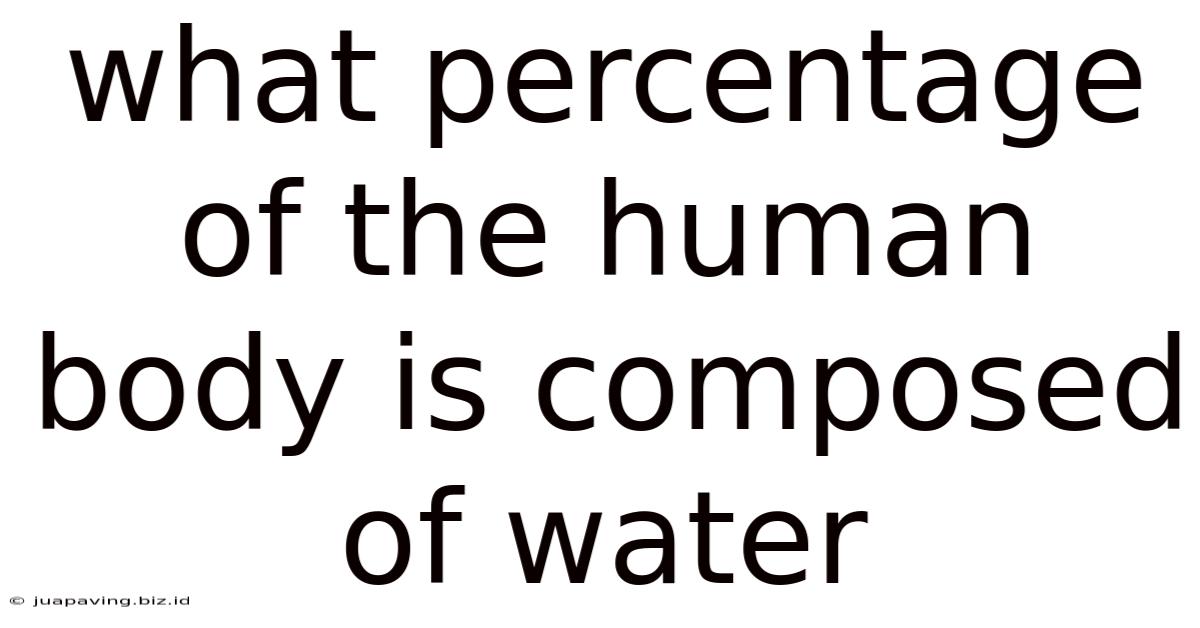 What Percentage Of The Human Body Is Composed Of Water