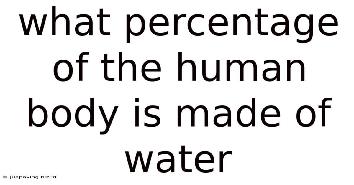 What Percentage Of The Human Body Is Made Of Water