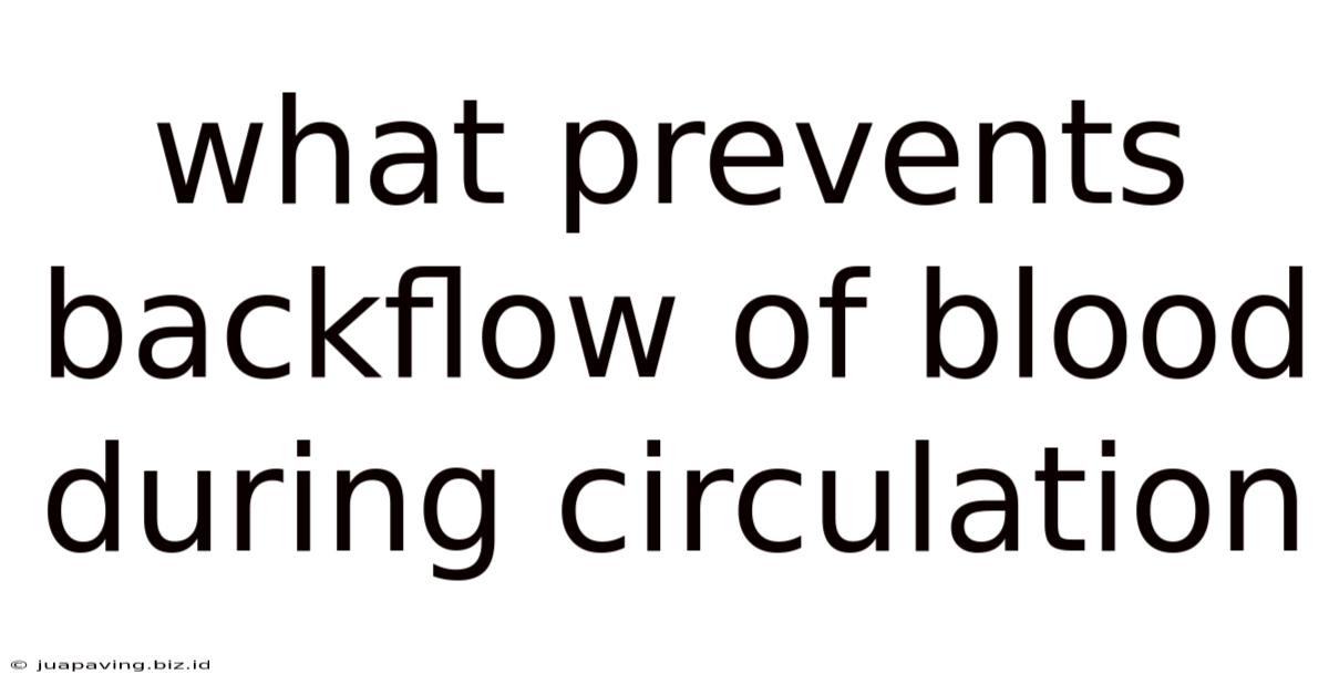 What Prevents Backflow Of Blood During Circulation