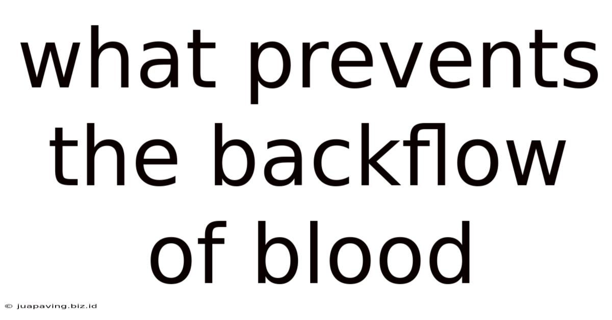 What Prevents The Backflow Of Blood
