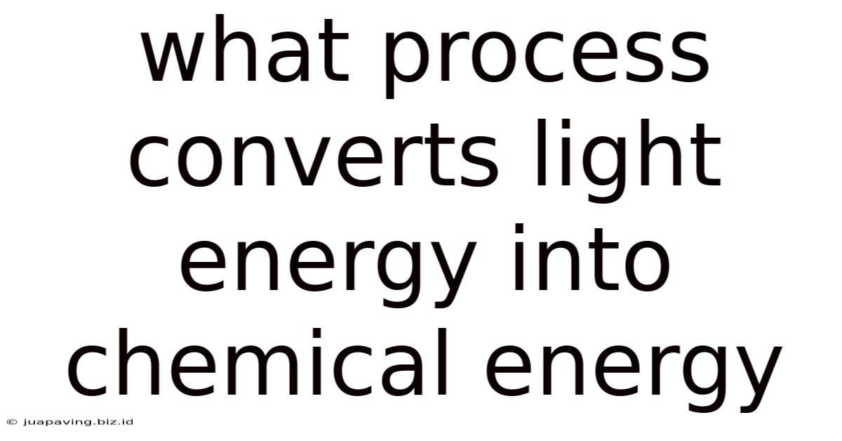 What Process Converts Light Energy Into Chemical Energy