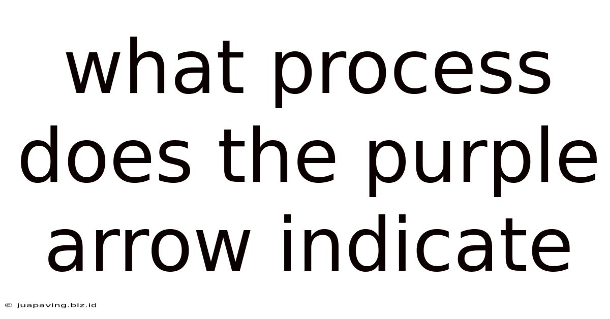 What Process Does The Purple Arrow Indicate