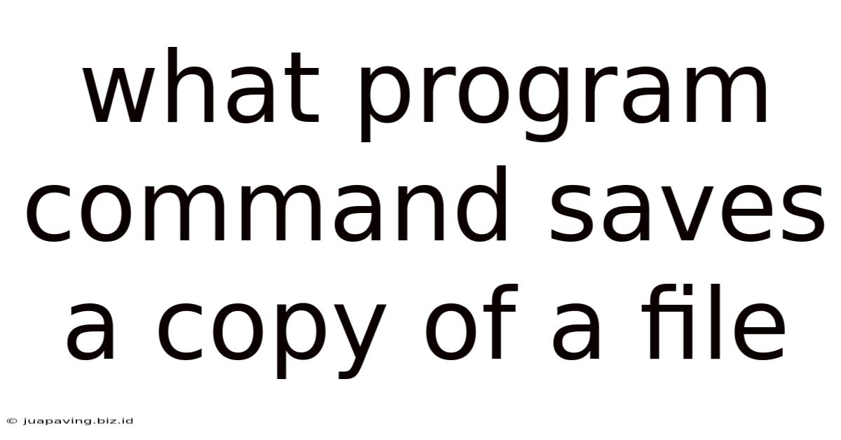 What Program Command Saves A Copy Of A File