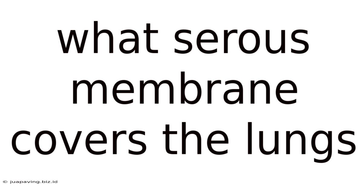What Serous Membrane Covers The Lungs