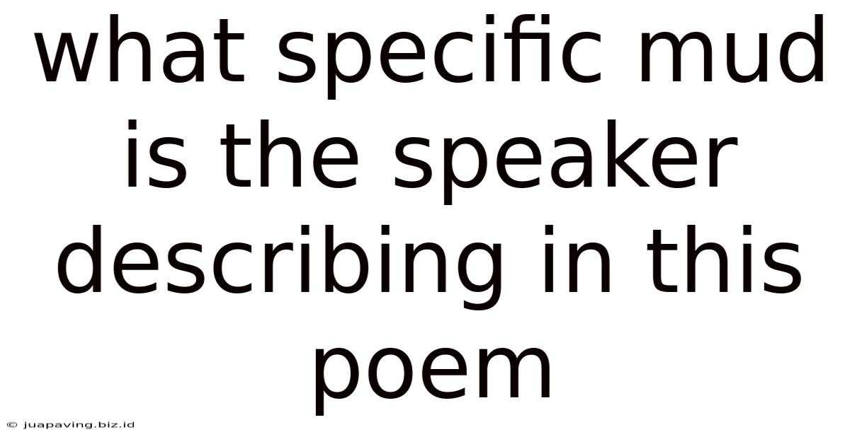 What Specific Mud Is The Speaker Describing In This Poem