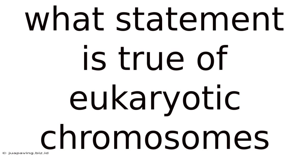 What Statement Is True Of Eukaryotic Chromosomes