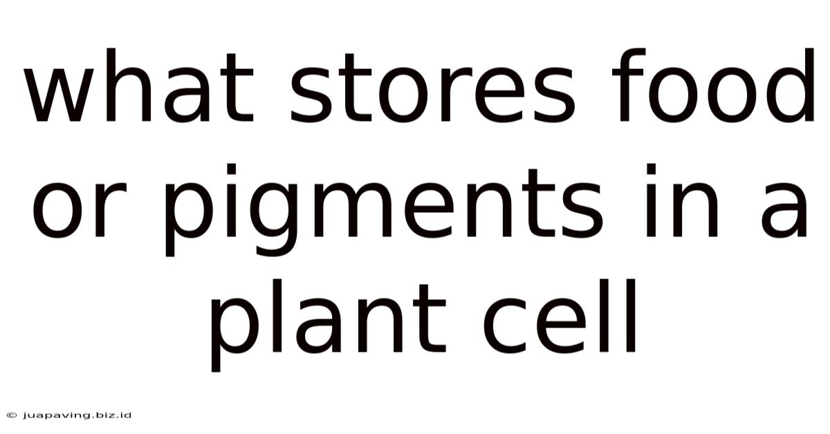 What Stores Food Or Pigments In A Plant Cell