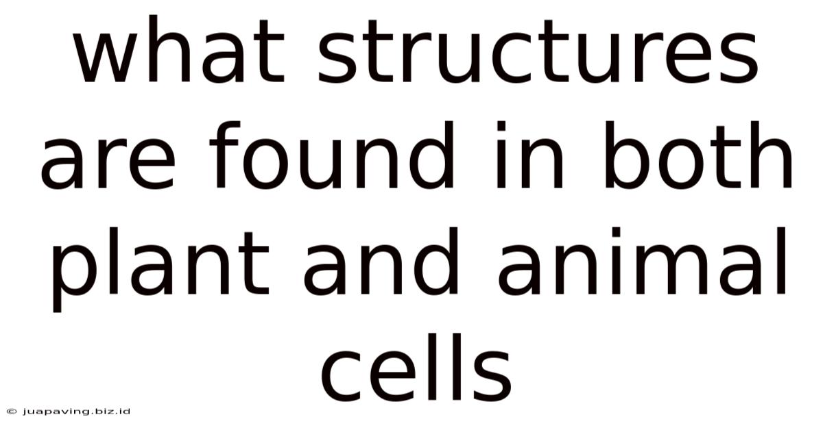 What Structures Are Found In Both Plant And Animal Cells