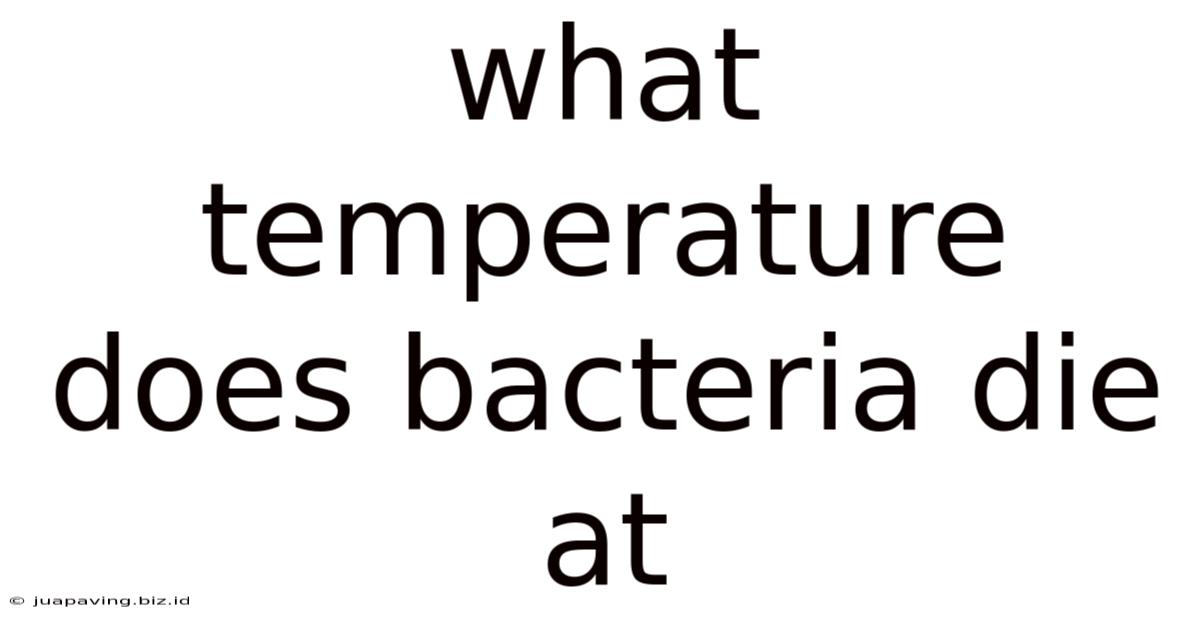 What Temperature Does Bacteria Die At