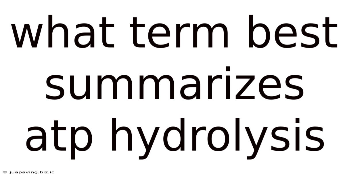 What Term Best Summarizes Atp Hydrolysis