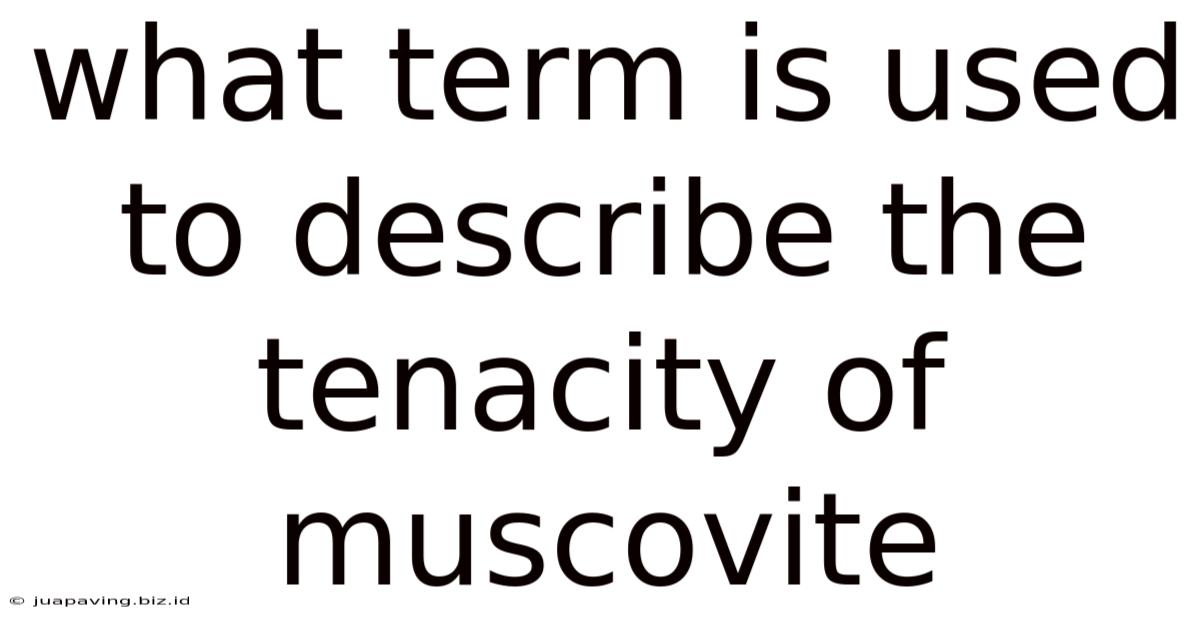 What Term Is Used To Describe The Tenacity Of Muscovite