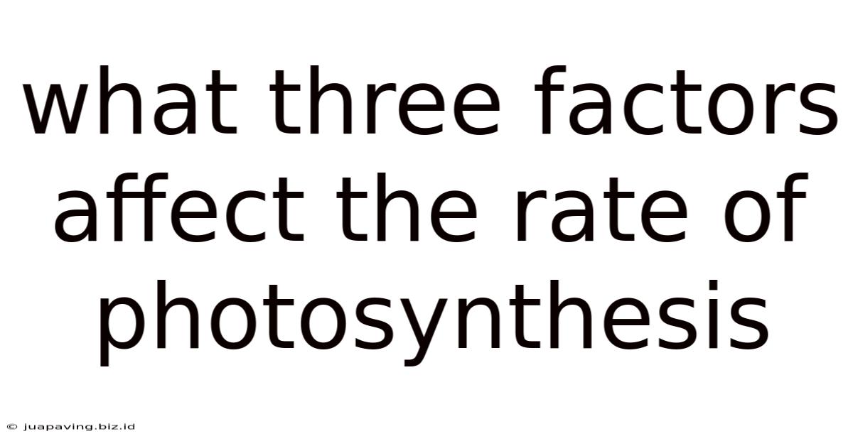 What Three Factors Affect The Rate Of Photosynthesis