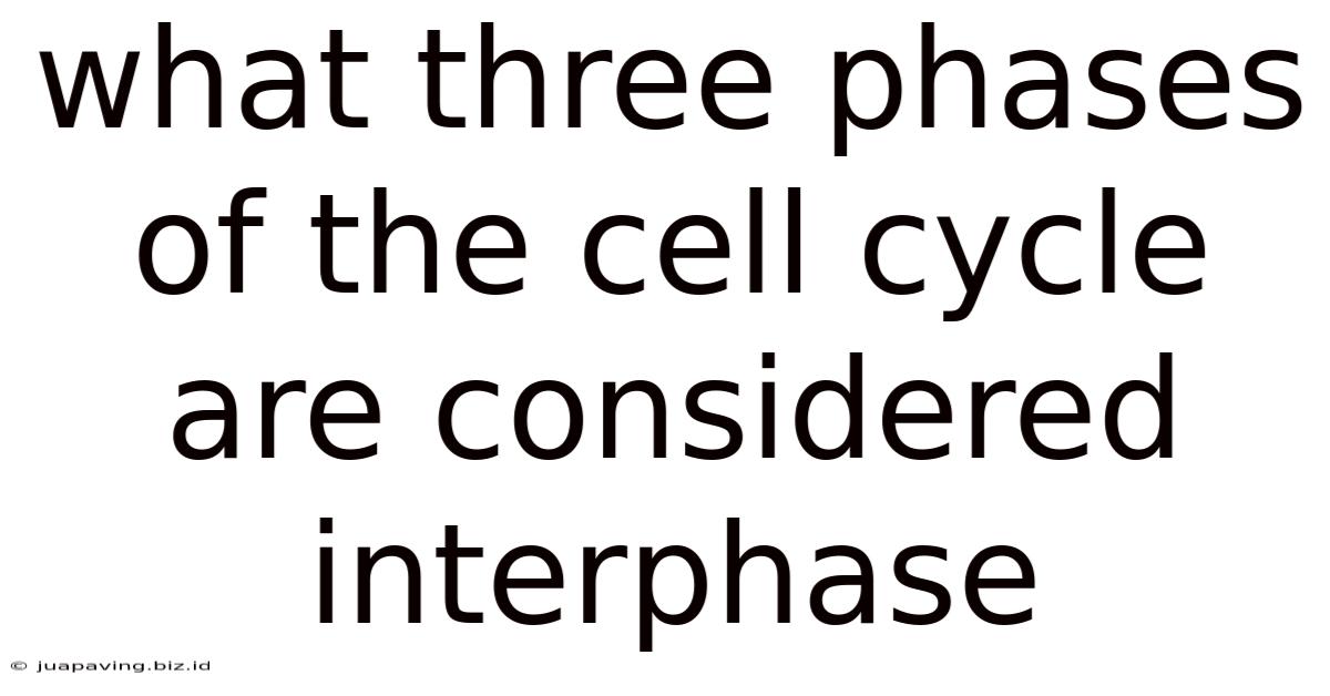 What Three Phases Of The Cell Cycle Are Considered Interphase