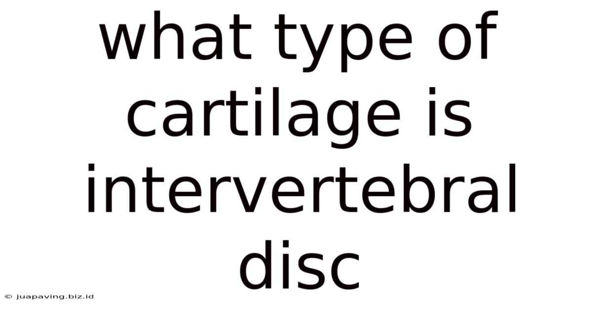 What Type Of Cartilage Is Intervertebral Disc