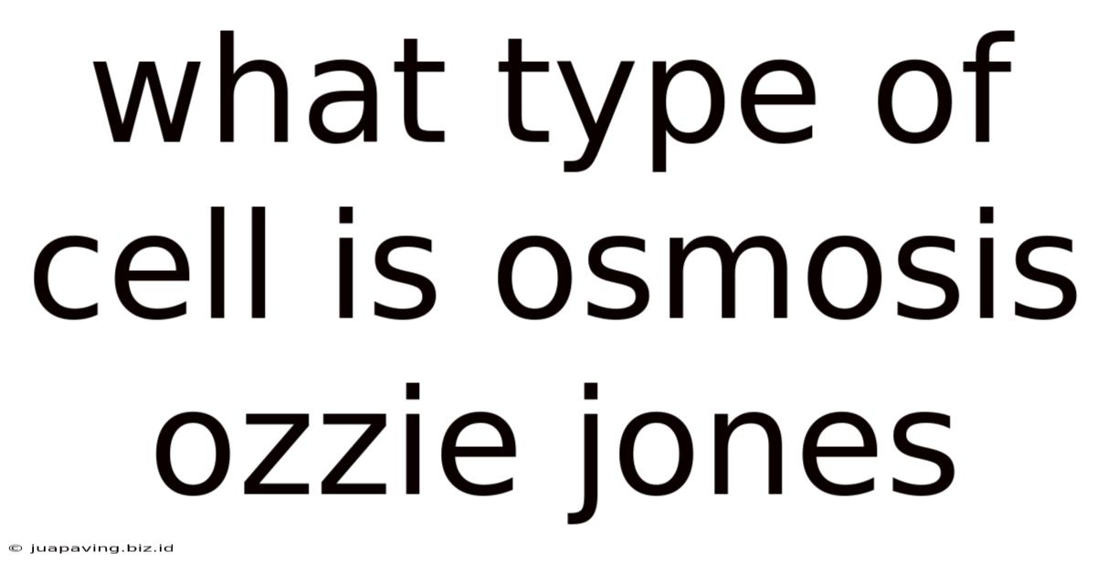 What Type Of Cell Is Osmosis Ozzie Jones