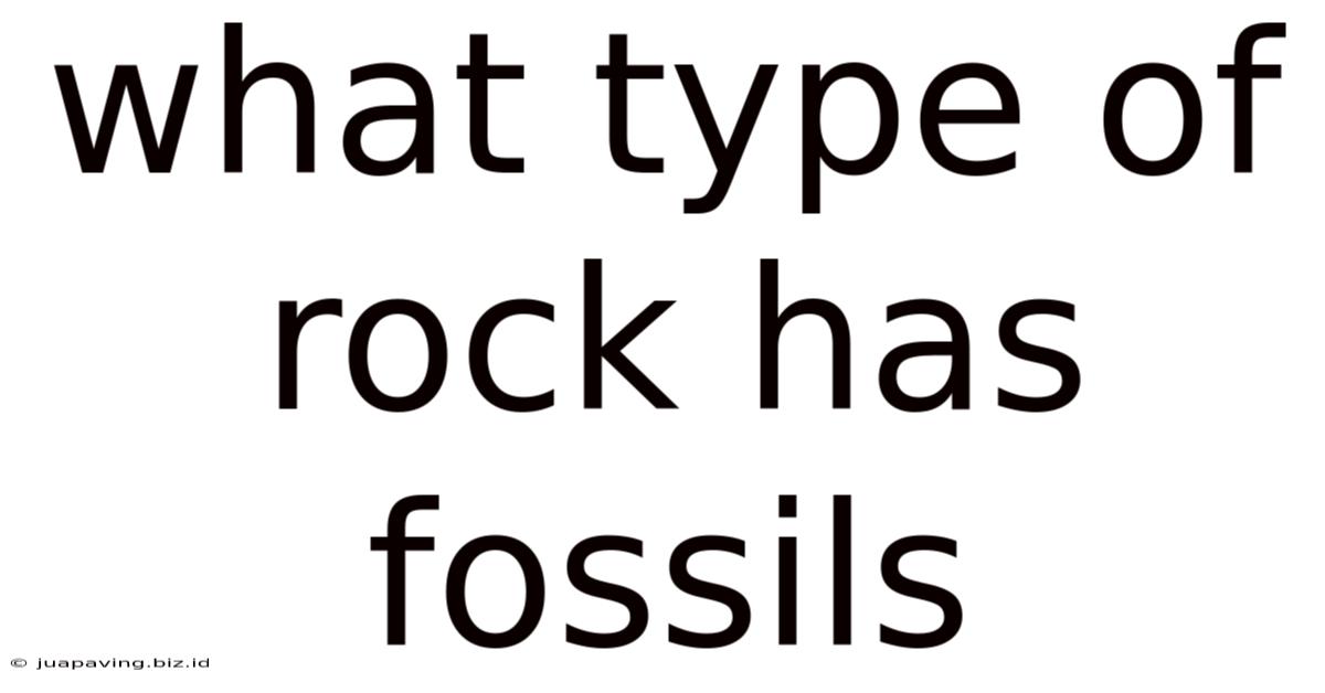 What Type Of Rock Has Fossils