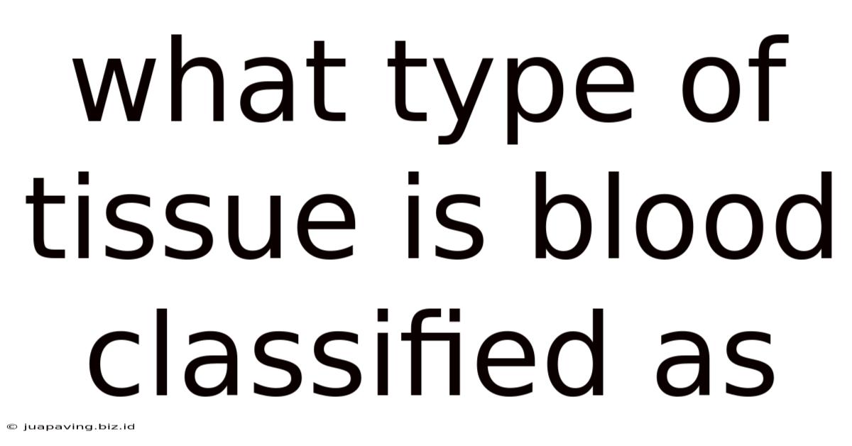 What Type Of Tissue Is Blood Classified As