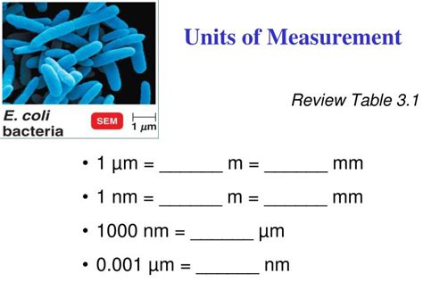 What Unit Is Used To Measure Bacteria