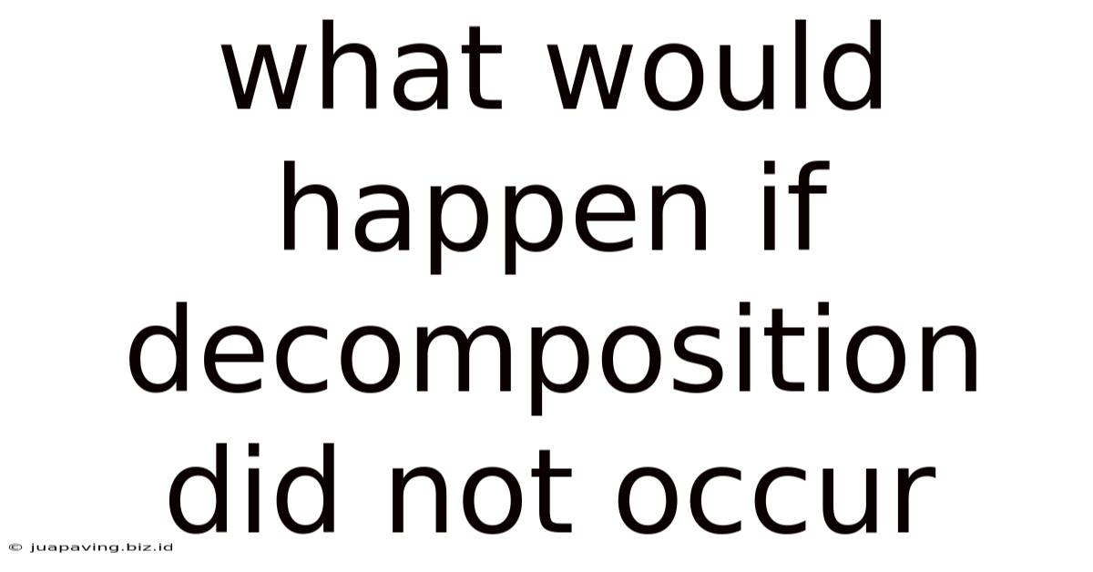 What Would Happen If Decomposition Did Not Occur