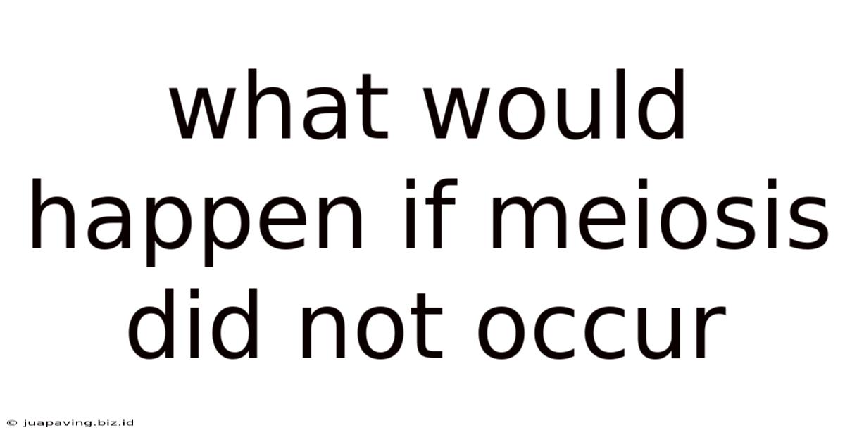 What Would Happen If Meiosis Did Not Occur