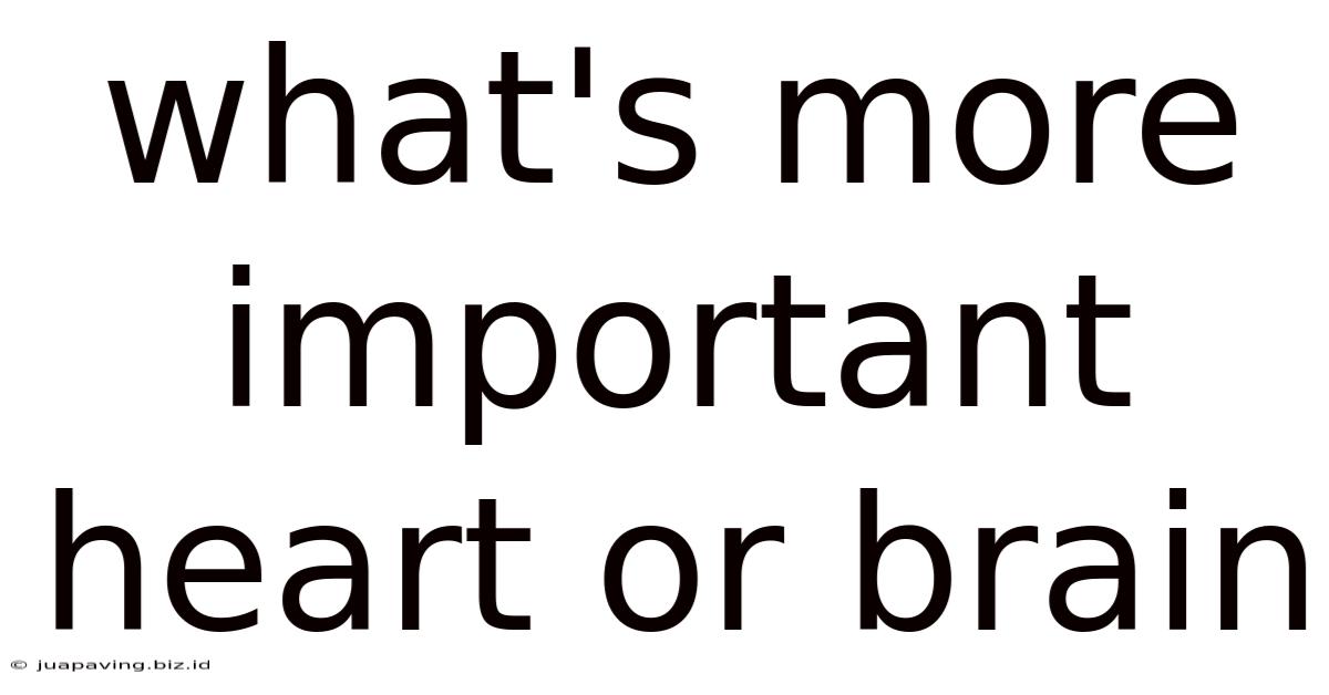 What's More Important Heart Or Brain
