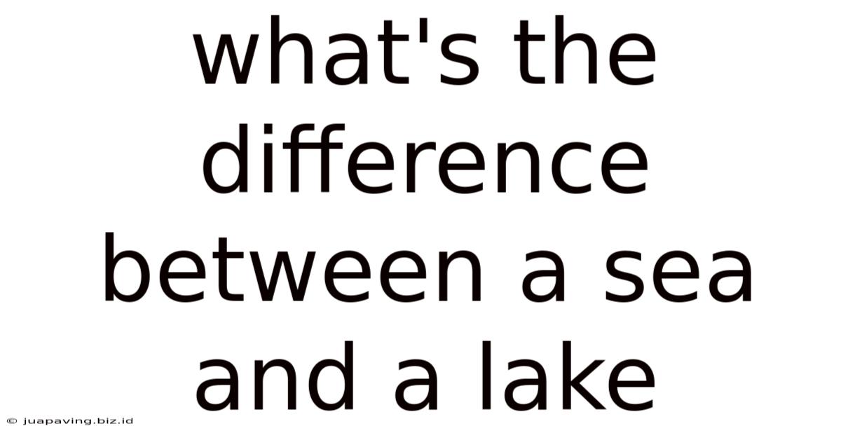 What's The Difference Between A Sea And A Lake