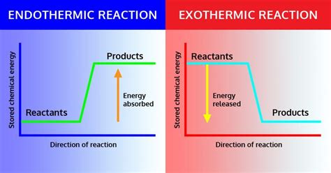 What's The Difference Between Exothermic And Endothermic