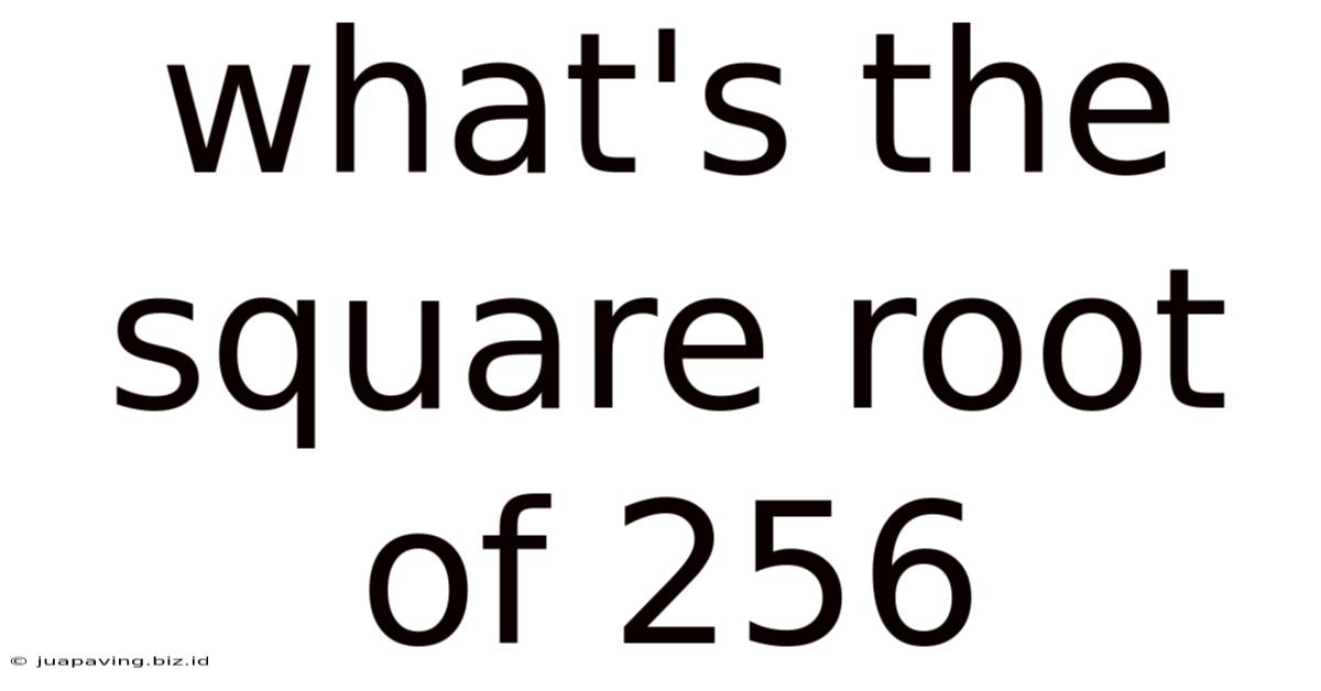 What's The Square Root Of 256