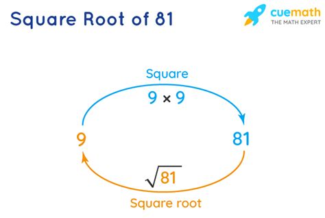 What's The Square Root Of 81