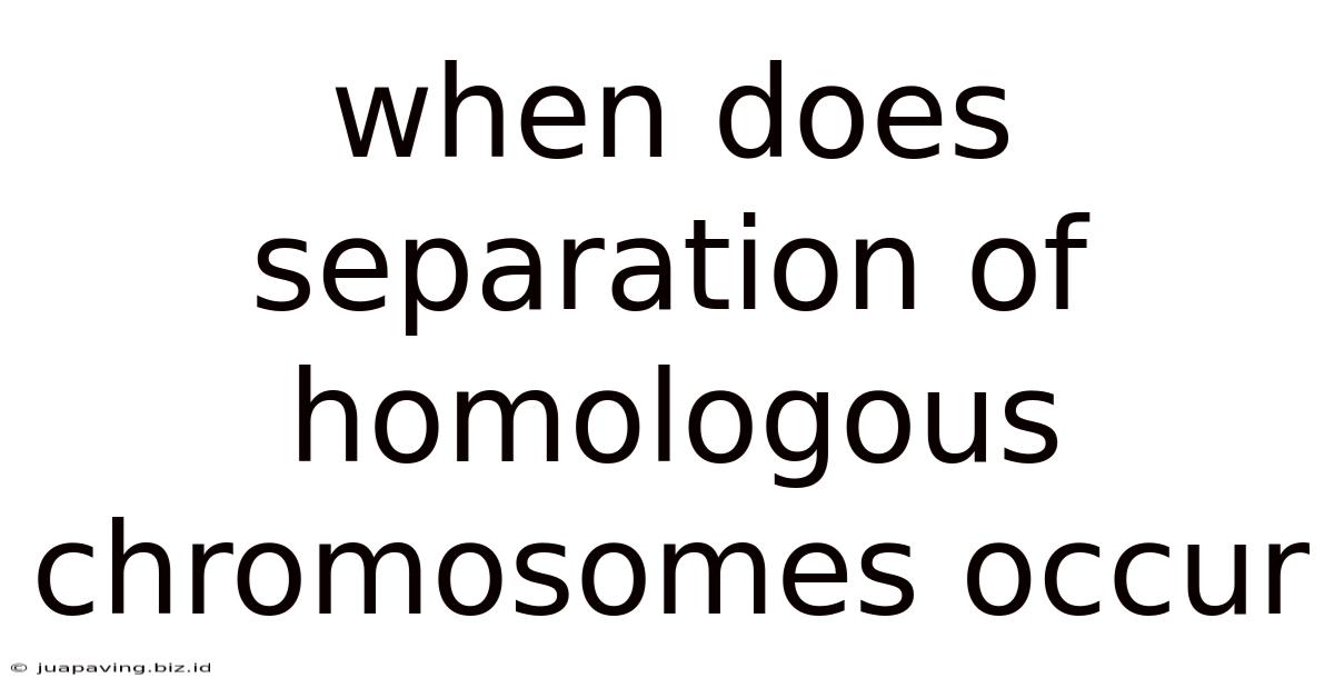 When Does Separation Of Homologous Chromosomes Occur
