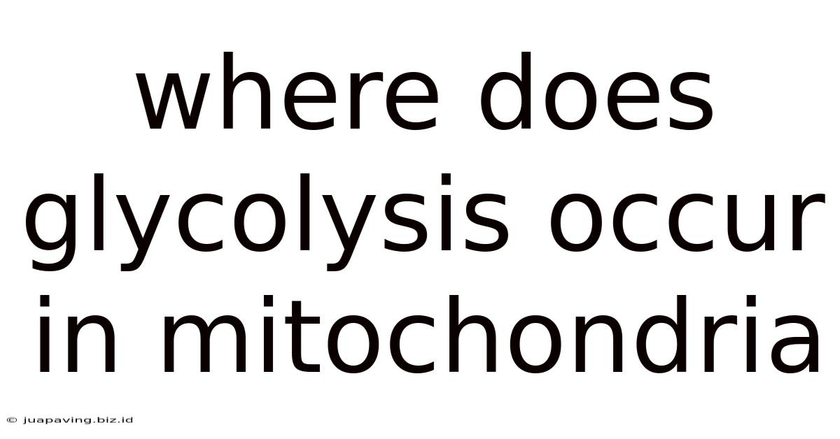 Where Does Glycolysis Occur In Mitochondria