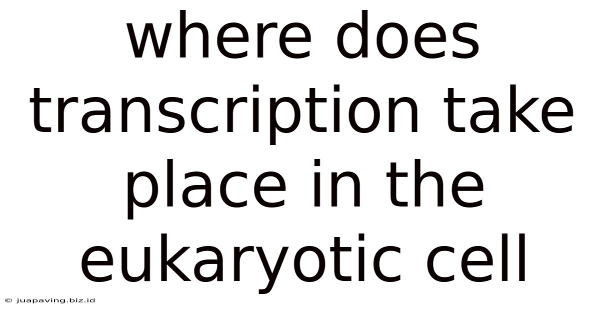 Where Does Transcription Take Place In The Eukaryotic Cell