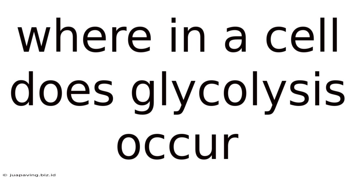 Where In A Cell Does Glycolysis Occur