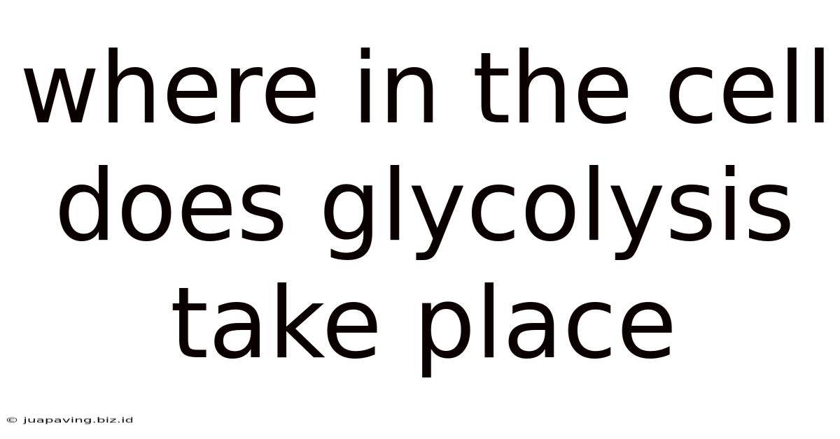 Where In The Cell Does Glycolysis Take Place