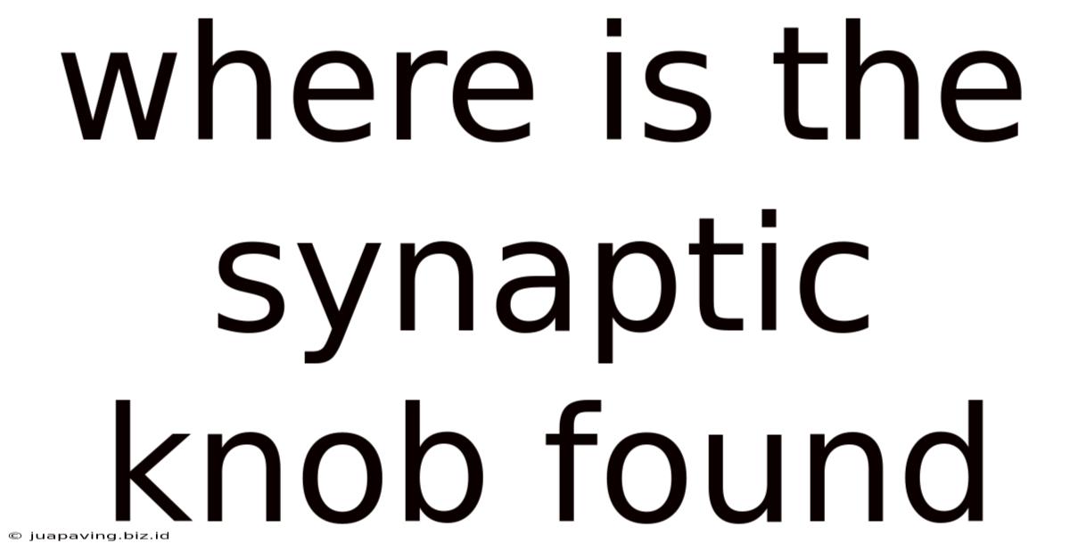 Where Is The Synaptic Knob Found