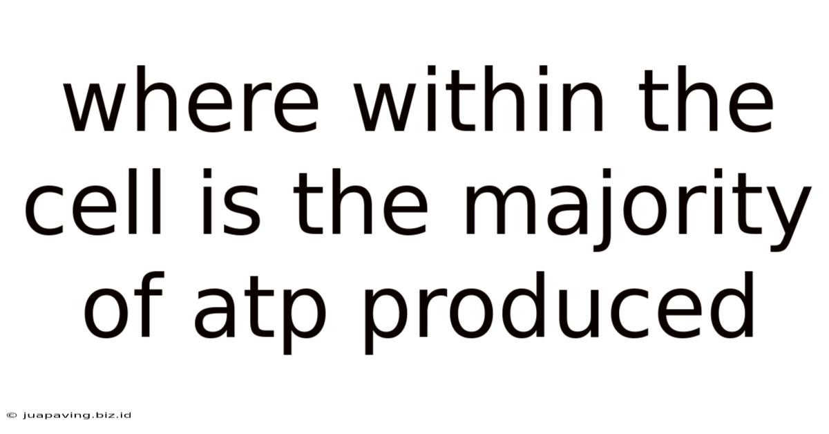 Where Within The Cell Is The Majority Of Atp Produced