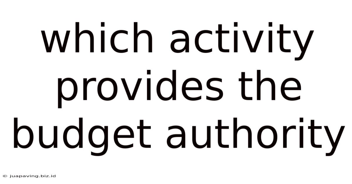 Which Activity Provides The Budget Authority