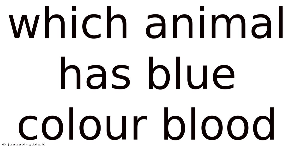 Which Animal Has Blue Colour Blood