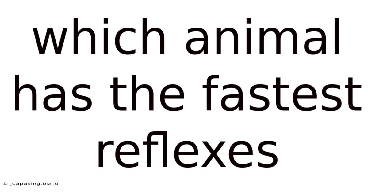 Which Animal Has The Fastest Reflexes