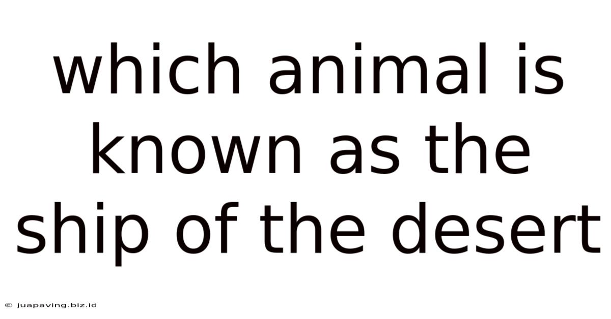 Which Animal Is Known As The Ship Of The Desert