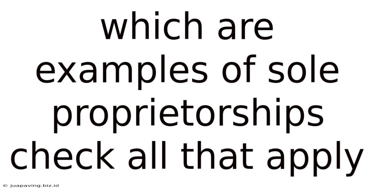 Which Are Examples Of Sole Proprietorships Check All That Apply