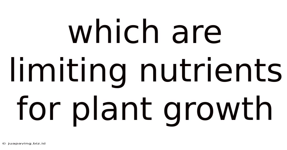 Which Are Limiting Nutrients For Plant Growth