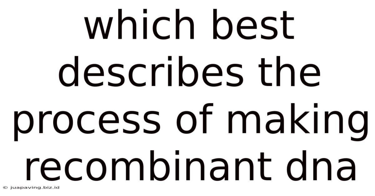 Which Best Describes The Process Of Making Recombinant Dna