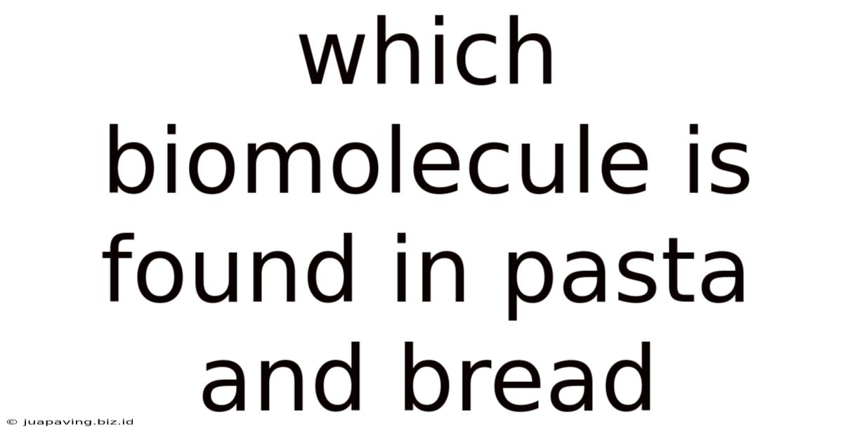 Which Biomolecule Is Found In Pasta And Bread